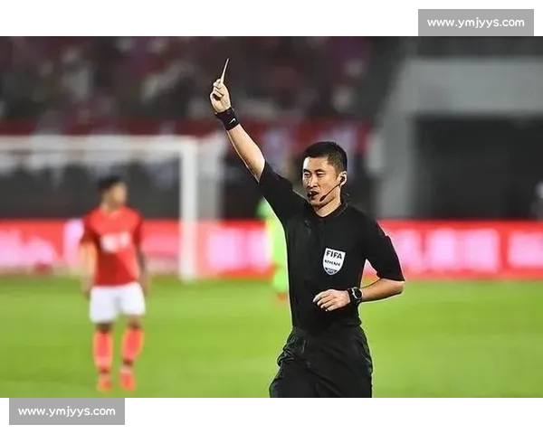 全面解析足球比赛基本规则与裁判判罚流程及比赛组织要点说明 - 副本