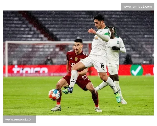 解析德甲足球联赛各队战术风格与精神气质全景图当代竞争格局透视 - 副本 - 副本 (2)