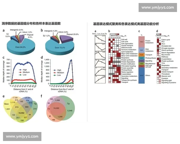大型赛事与小型赛事在组织模式与观众体验上的差异分析